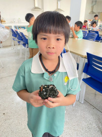 2569 Summer Camp ธีม Yummy buddies สำหรับนักเรียนชั้น ป.1 (รหัสนักเรียน 68)