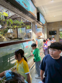 2569 Summer Camp ธีม Junior Ocean Explorers สำหรับนักเรียนชั้น ป.2 (รหัสนักเรียน 67)