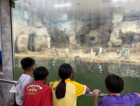 2569 Summer Camp ธีม Junior Ocean Explorers สำหรับนักเรียนชั้น ป.2 (รหัสนักเรียน 67)