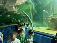 2569 Summer Camp ธีม Junior Ocean Explorers สำหรับนักเรียนชั้น ป.2 (รหัสนักเรียน 67)