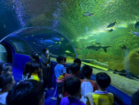 2569 Summer Camp ธีม Junior Ocean Explorers สำหรับนักเรียนชั้น ป.2 (รหัสนักเรียน 67)