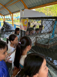 2569 Summer Camp ธีม Junior Ocean Explorers สำหรับนักเรียนชั้น ป.2 (รหัสนักเรียน 67)