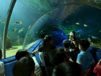 2569 Summer Camp ธีม Junior Ocean Explorers สำหรับนักเรียนชั้น ป.2 (รหัสนักเรียน 67)