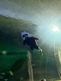 2569 Summer Camp ธีม Junior Ocean Explorers สำหรับนักเรียนชั้น ป.2 (รหัสนักเรียน 67)