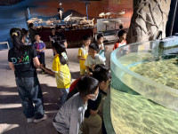 2569 Summer Camp ธีม Junior Ocean Explorers สำหรับนักเรียนชั้น ป.2 (รหัสนักเรียน 67)