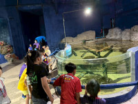 2569 Summer Camp ธีม Junior Ocean Explorers สำหรับนักเรียนชั้น ป.2 (รหัสนักเรียน 67)