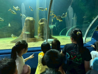 2569 Summer Camp ธีม Junior Ocean Explorers สำหรับนักเรียนชั้น ป.2 (รหัสนักเรียน 67)