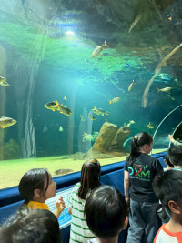 2569 Summer Camp ธีม Junior Ocean Explorers สำหรับนักเรียนชั้น ป.2 (รหัสนักเรียน 67)