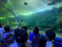 2569 Summer Camp ธีม Junior Ocean Explorers สำหรับนักเรียนชั้น ป.2 (รหัสนักเรียน 67)