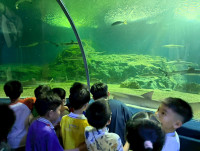 2569 Summer Camp ธีม Junior Ocean Explorers สำหรับนักเรียนชั้น ป.2 (รหัสนักเรียน 67)