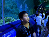 2569 Summer Camp ธีม Junior Ocean Explorers สำหรับนักเรียนชั้น ป.2 (รหัสนักเรียน 67)