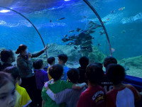 2569 Summer Camp ธีม Junior Ocean Explorers สำหรับนักเรียนชั้น ป.2 (รหัสนักเรียน 67)