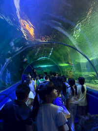 2569 Summer Camp ธีม Junior Ocean Explorers สำหรับนักเรียนชั้น ป.2 (รหัสนักเรียน 67)