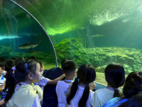 2569 Summer Camp ธีม Junior Ocean Explorers สำหรับนักเรียนชั้น ป.2 (รหัสนักเรียน 67)