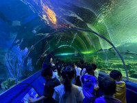 2569 Summer Camp ธีม Junior Ocean Explorers สำหรับนักเรียนชั้น ป.2 (รหัสนักเรียน 67)