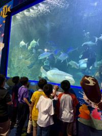 2569 Summer Camp ธีม Junior Ocean Explorers สำหรับนักเรียนชั้น ป.2 (รหัสนักเรียน 67)