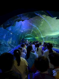 2569 Summer Camp ธีม Junior Ocean Explorers สำหรับนักเรียนชั้น ป.2 (รหัสนักเรียน 67)