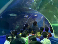 2569 Summer Camp ธีม Junior Ocean Explorers สำหรับนักเรียนชั้น ป.2 (รหัสนักเรียน 67)