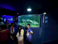 2569 Summer Camp ธีม Junior Ocean Explorers สำหรับนักเรียนชั้น ป.2 (รหัสนักเรียน 67)