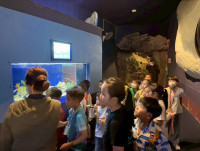 2569 Summer Camp ธีม Junior Ocean Explorers สำหรับนักเรียนชั้น ป.2 (รหัสนักเรียน 67)