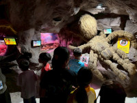 2569 Summer Camp ธีม Junior Ocean Explorers สำหรับนักเรียนชั้น ป.2 (รหัสนักเรียน 67)