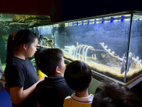 2569 Summer Camp ธีม Junior Ocean Explorers สำหรับนักเรียนชั้น ป.2 (รหัสนักเรียน 67)