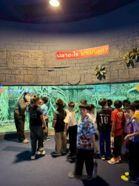 2569 Summer Camp ธีม Junior Ocean Explorers สำหรับนักเรียนชั้น ป.2 (รหัสนักเรียน 67)