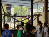 2569 Summer Camp ธีม Junior Ocean Explorers สำหรับนักเรียนชั้น ป.2 (รหัสนักเรียน 67)