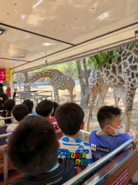 2569 Summer Camp ธีม Junior Ocean Explorers สำหรับนักเรียนชั้น ป.2 (รหัสนักเรียน 67)