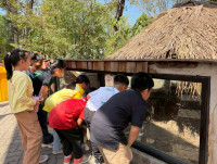 2569 Summer Camp ธีม Junior Ocean Explorers สำหรับนักเรียนชั้น ป.2 (รหัสนักเรียน 67)