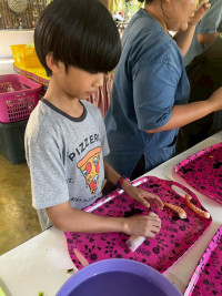 2569 Summer Camp ธีม Nature Kitchen for sustanability world สำหรับนักเรียนชั้น ป.3 (รหัสนักเรียน 66)