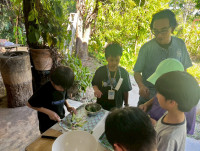 2569 Summer Camp ธีม Nature Kitchen for sustanability world สำหรับนักเรียนชั้น ป.3 (รหัสนักเรียน 66)