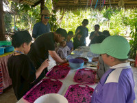 2569 Summer Camp ธีม Nature Kitchen for sustanability world สำหรับนักเรียนชั้น ป.3 (รหัสนักเรียน 66)