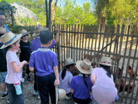 2569 Summer Camp ธีม Nature Kitchen for sustanability world สำหรับนักเรียนชั้น ป.3 (รหัสนักเรียน 66)