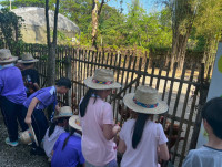 2569 Summer Camp ธีม Nature Kitchen for sustanability world สำหรับนักเรียนชั้น ป.3 (รหัสนักเรียน 66)