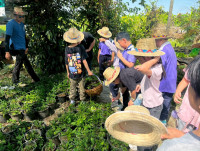 2569 Summer Camp ธีม Nature Kitchen for sustanability world สำหรับนักเรียนชั้น ป.3 (รหัสนักเรียน 66)