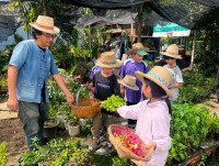 2569 Summer Camp ธีม Nature Kitchen for sustanability world สำหรับนักเรียนชั้น ป.3 (รหัสนักเรียน 66)