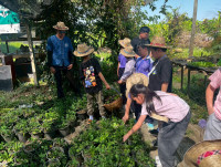 2569 Summer Camp ธีม Nature Kitchen for sustanability world สำหรับนักเรียนชั้น ป.3 (รหัสนักเรียน 66)