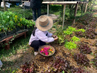 2569 Summer Camp ธีม Nature Kitchen for sustanability world สำหรับนักเรียนชั้น ป.3 (รหัสนักเรียน 66)