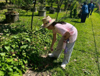 2569 Summer Camp ธีม Nature Kitchen for sustanability world สำหรับนักเรียนชั้น ป.3 (รหัสนักเรียน 66)