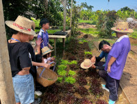 2569 Summer Camp ธีม Nature Kitchen for sustanability world สำหรับนักเรียนชั้น ป.3 (รหัสนักเรียน 66)