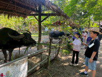 2569 Summer Camp ธีม Nature Kitchen for sustanability world สำหรับนักเรียนชั้น ป.3 (รหัสนักเรียน 66)