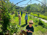 2569 Summer Camp ธีม Nature Kitchen for sustanability world สำหรับนักเรียนชั้น ป.3 (รหัสนักเรียน 66)