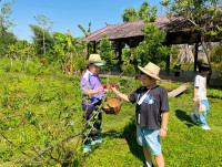 2569 Summer Camp ธีม Nature Kitchen for sustanability world สำหรับนักเรียนชั้น ป.3 (รหัสนักเรียน 66)