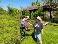 2569 Summer Camp ธีม Nature Kitchen for sustanability world สำหรับนักเรียนชั้น ป.3 (รหัสนักเรียน 66)