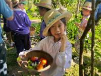 2569 Summer Camp ธีม Nature Kitchen for sustanability world สำหรับนักเรียนชั้น ป.3 (รหัสนักเรียน 66)