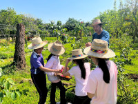 2569 Summer Camp ธีม Nature Kitchen for sustanability world สำหรับนักเรียนชั้น ป.3 (รหัสนักเรียน 66)