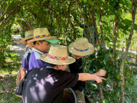 2569 Summer Camp ธีม Nature Kitchen for sustanability world สำหรับนักเรียนชั้น ป.3 (รหัสนักเรียน 66)