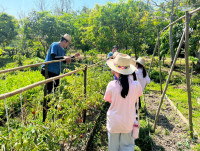 2569 Summer Camp ธีม Nature Kitchen for sustanability world สำหรับนักเรียนชั้น ป.3 (รหัสนักเรียน 66)