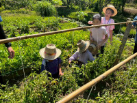 2569 Summer Camp ธีม Nature Kitchen for sustanability world สำหรับนักเรียนชั้น ป.3 (รหัสนักเรียน 66)